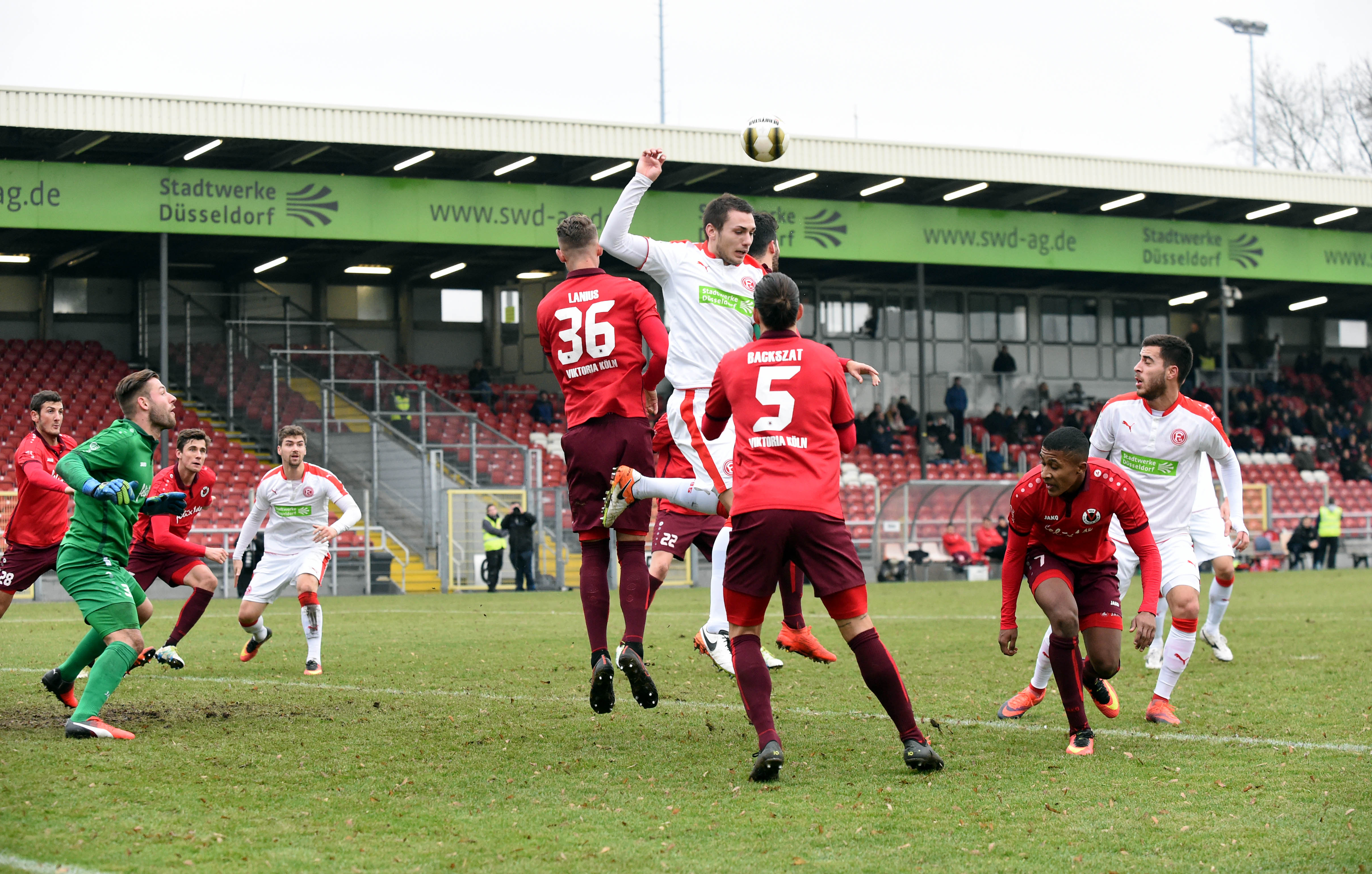 www.f95.de